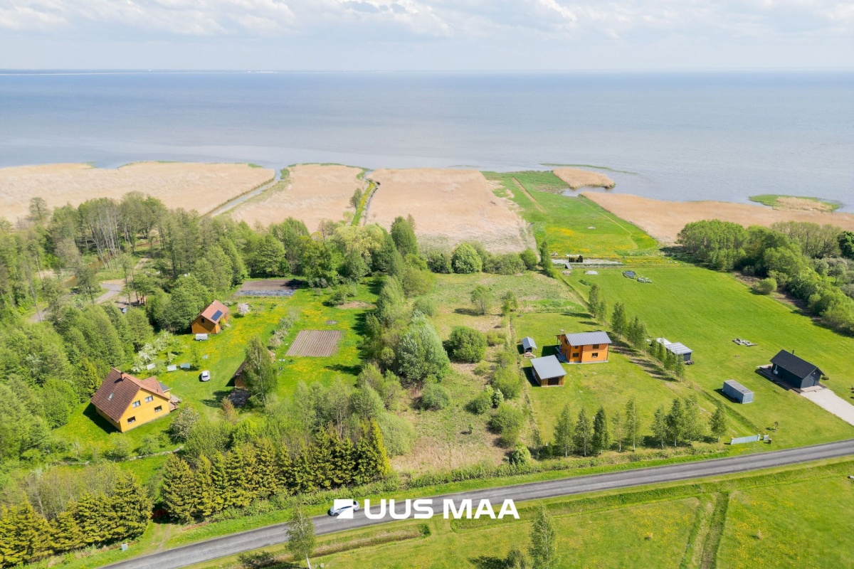 Pärnu linn, Kabriste küla, Angerjaahvena