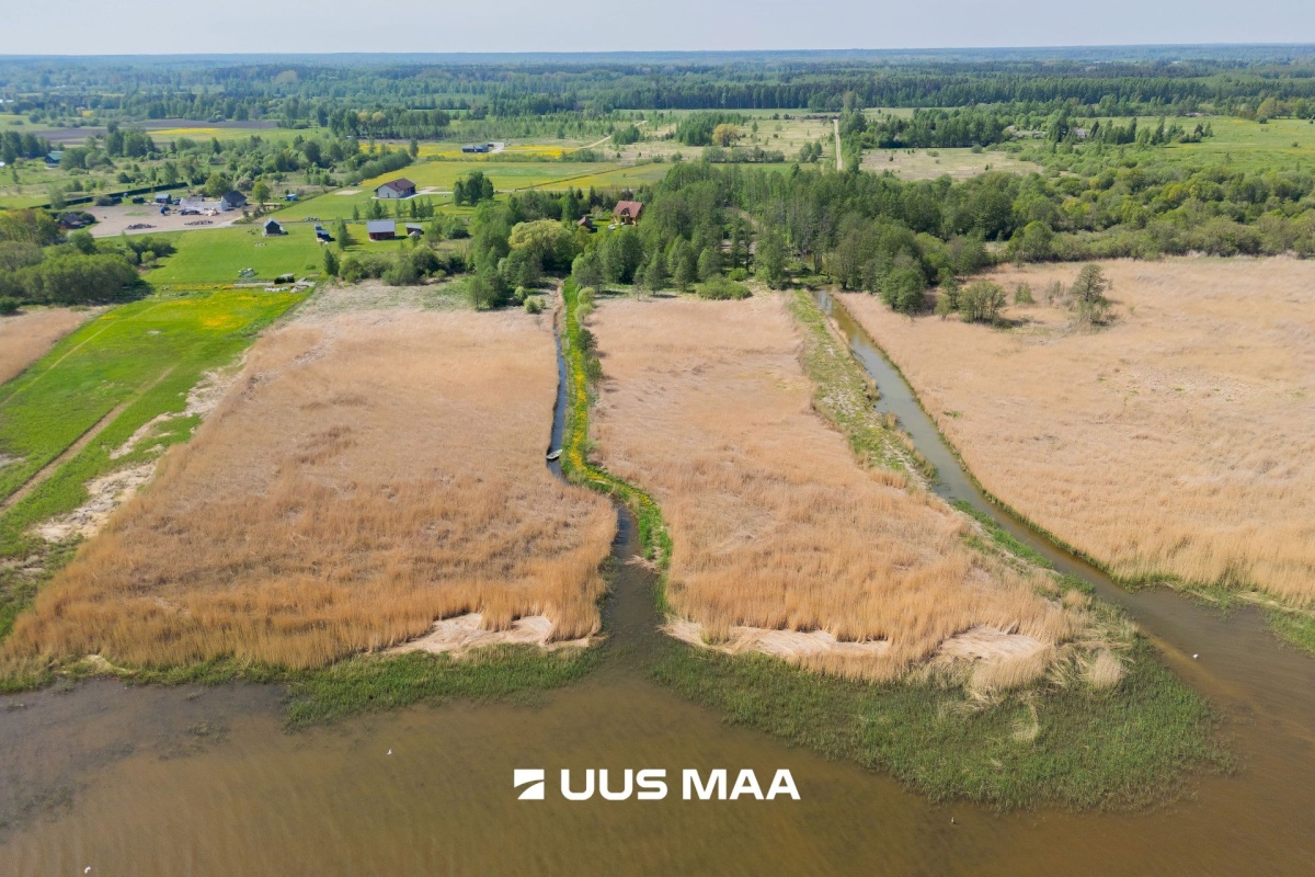 Pärnu linn, Kabriste küla, Angerjaahvena