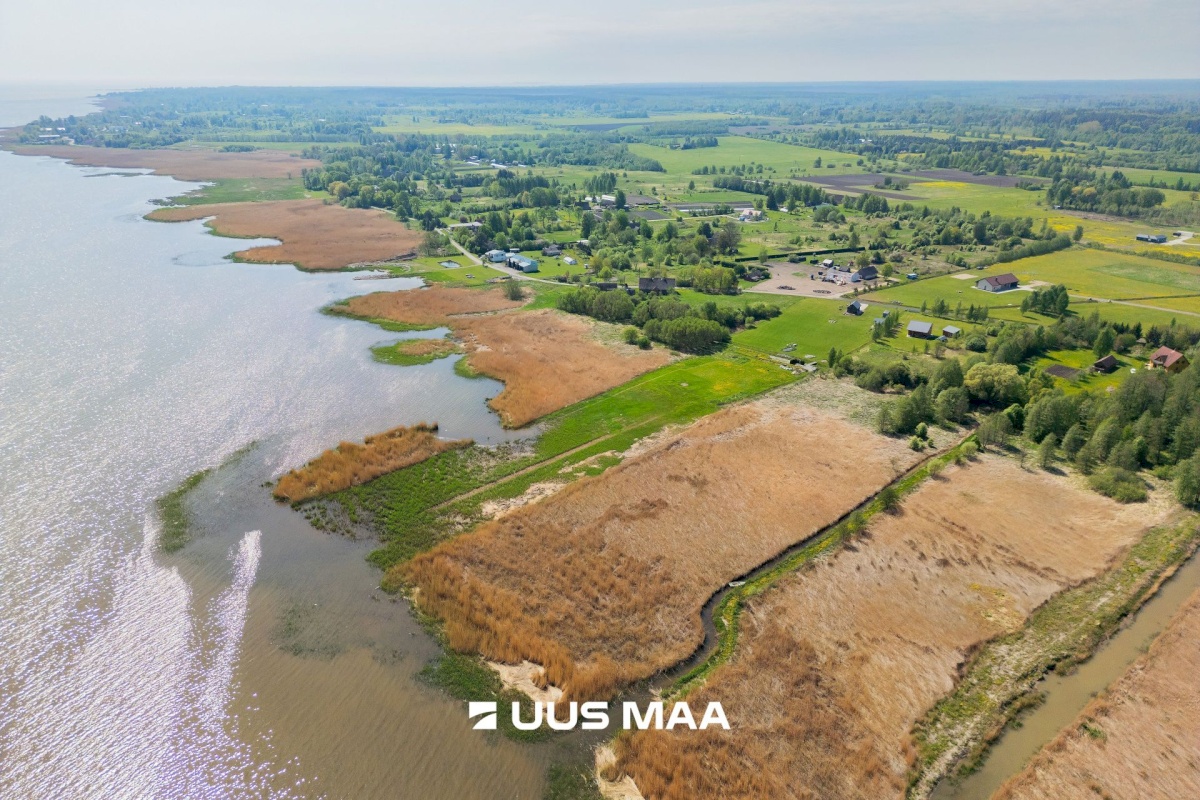 Pärnu linn, Kabriste küla, Angerjaahvena