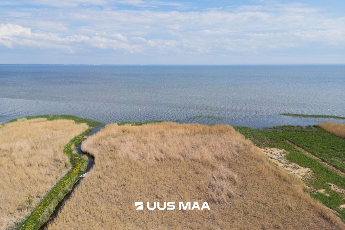 Pärnu linn, Kabriste küla, Angerjaahvena