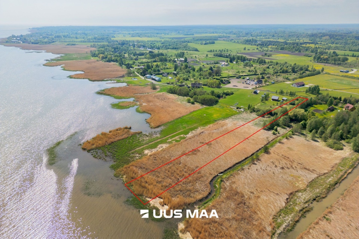 Pärnu linn, Kabriste küla, Angerjaahvena