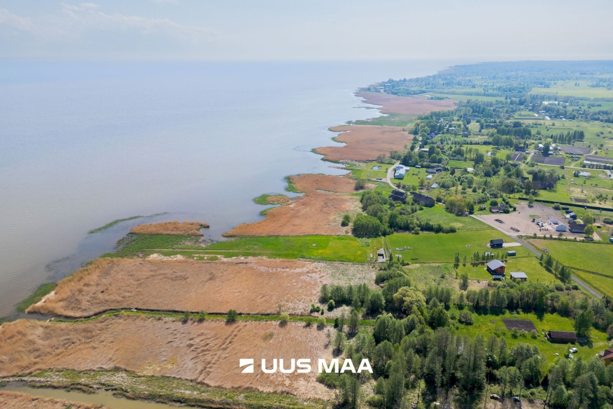 Pärnu linn, Kabriste küla, Angerjaahvena