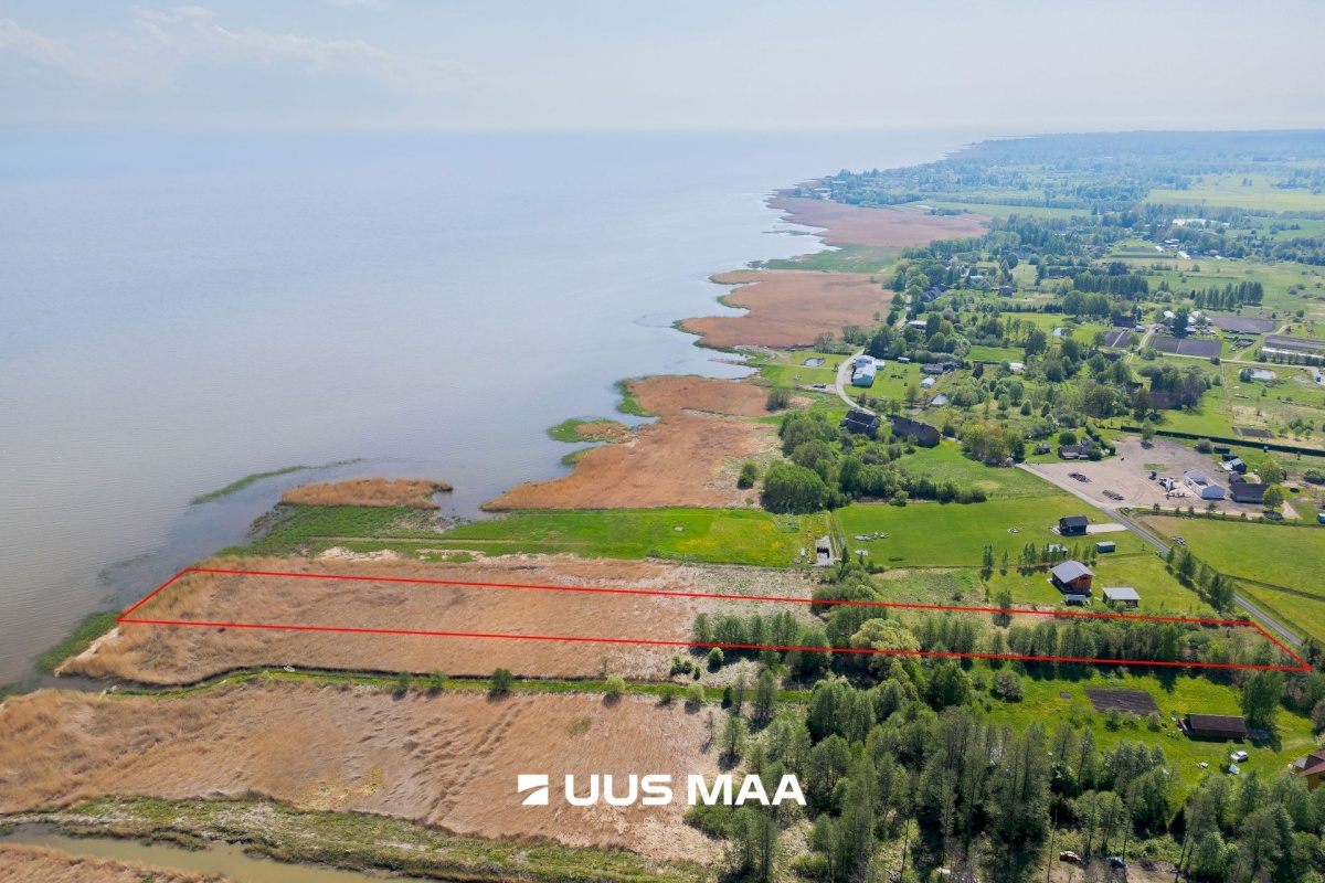 Pärnu linn, Kabriste küla, Angerjaahvena
