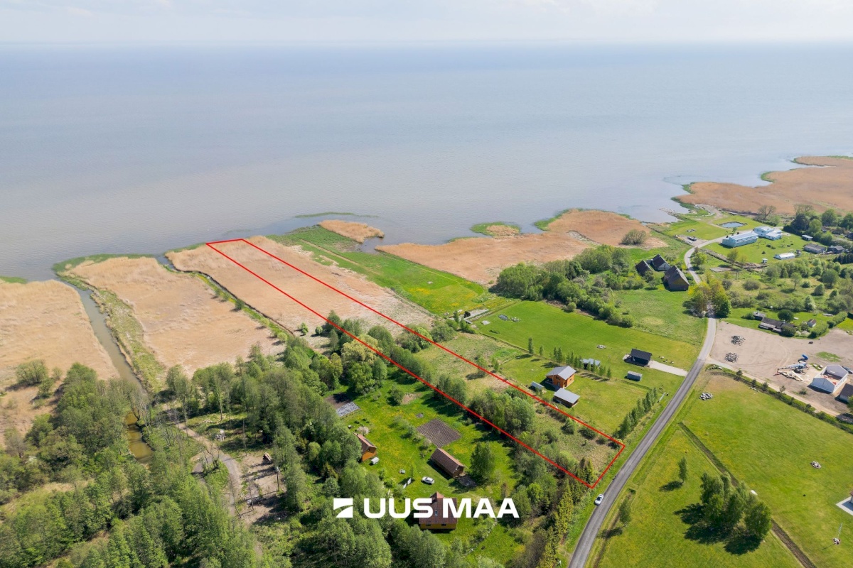 Pärnu linn, Kabriste küla, Angerjaahvena