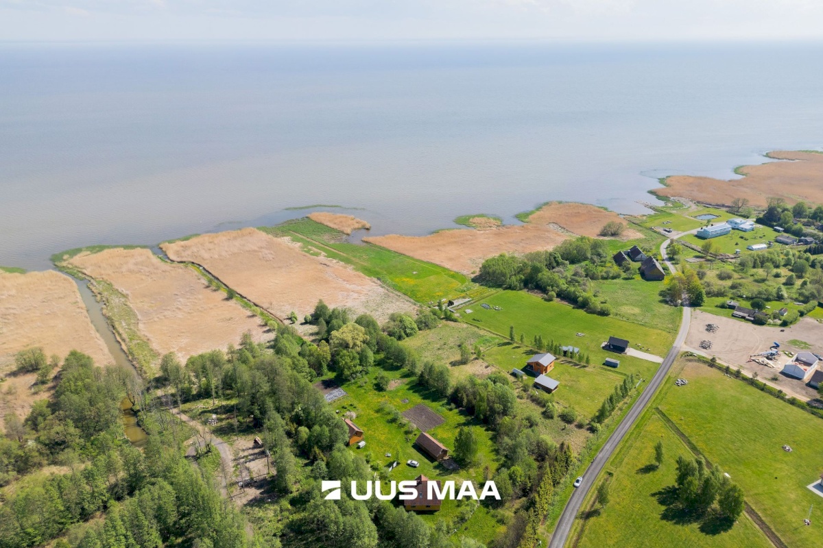 Pärnu linn, Kabriste küla, Angerjaahvena