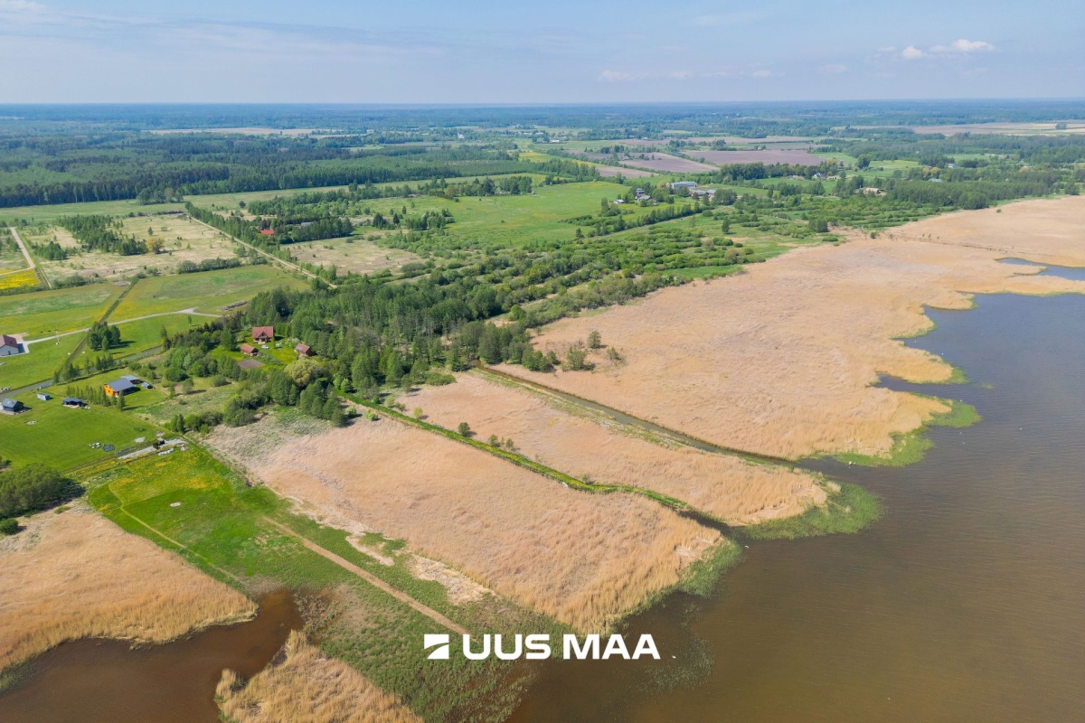Pärnu linn, Kabriste küla, Angerjaahvena