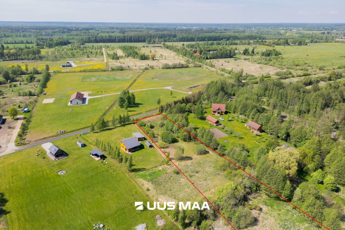 Pärnu linn, Kabriste küla, Angerjaahvena