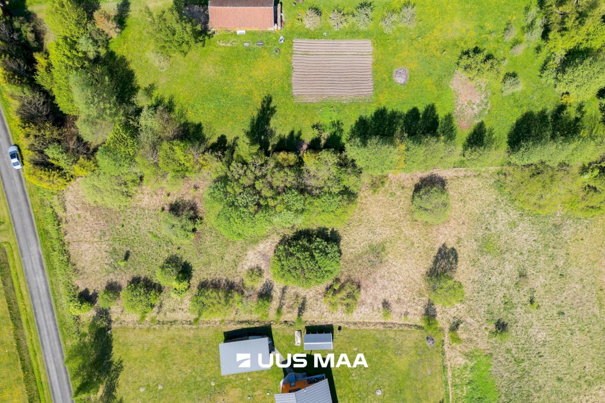 Pärnu linn, Kabriste küla, Angerjaahvena