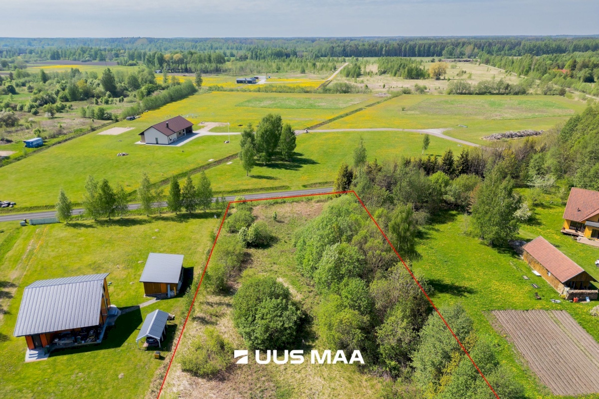Pärnu linn, Kabriste küla, Angerjaahvena