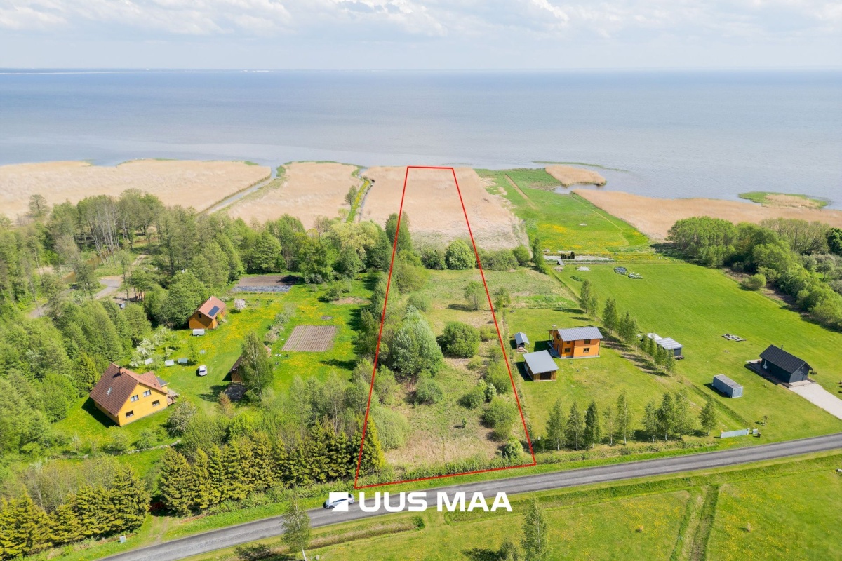Pärnu linn, Kabriste küla, Angerjaahvena