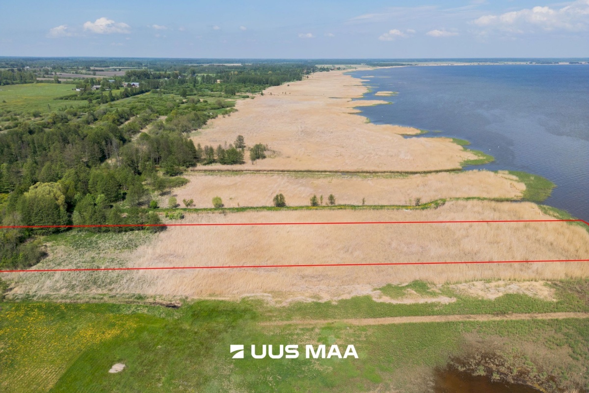 Pärnu linn, Kabriste küla, Angerjaahvena