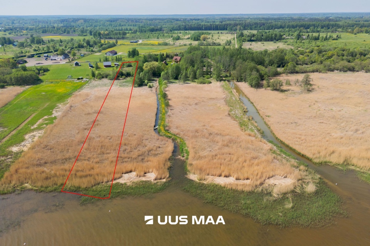 Pärnu linn, Kabriste küla, Angerjaahvena