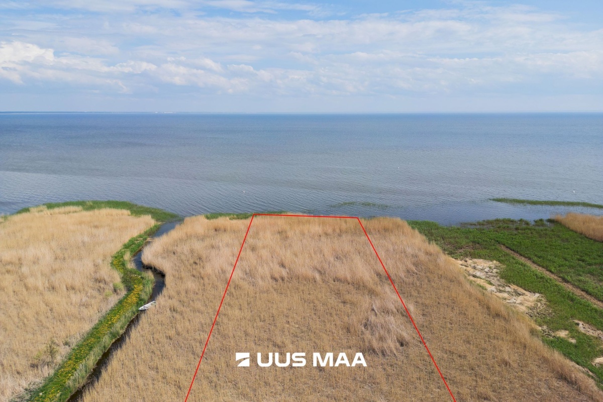 Pärnu linn, Kabriste küla, Angerjaahvena