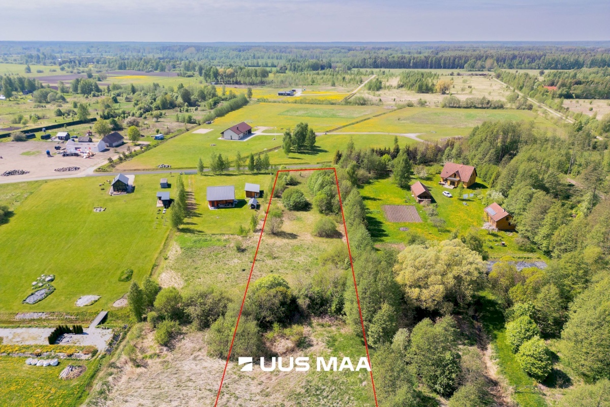 Pärnu linn, Kabriste küla, Angerjaahvena