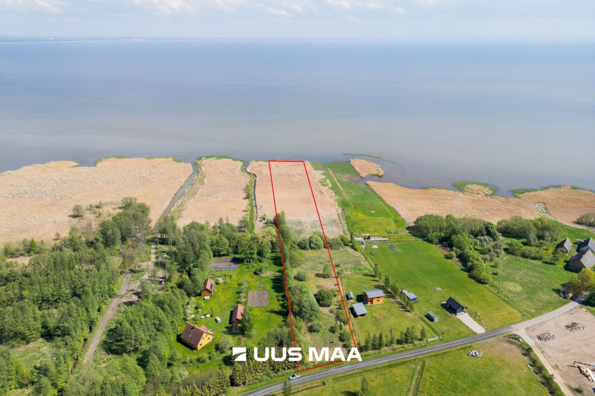 Pärnu linn, Kabriste küla, Angerjaahvena