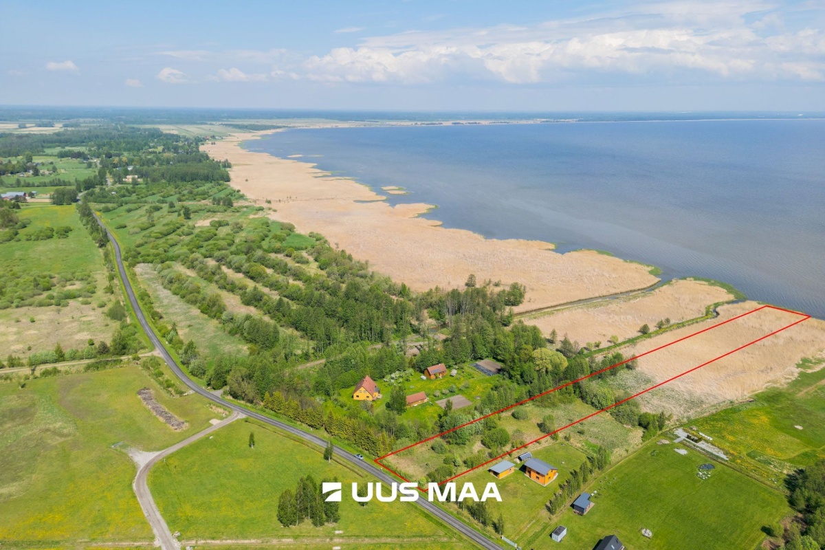 Pärnu linn, Kabriste küla, Angerjaahvena