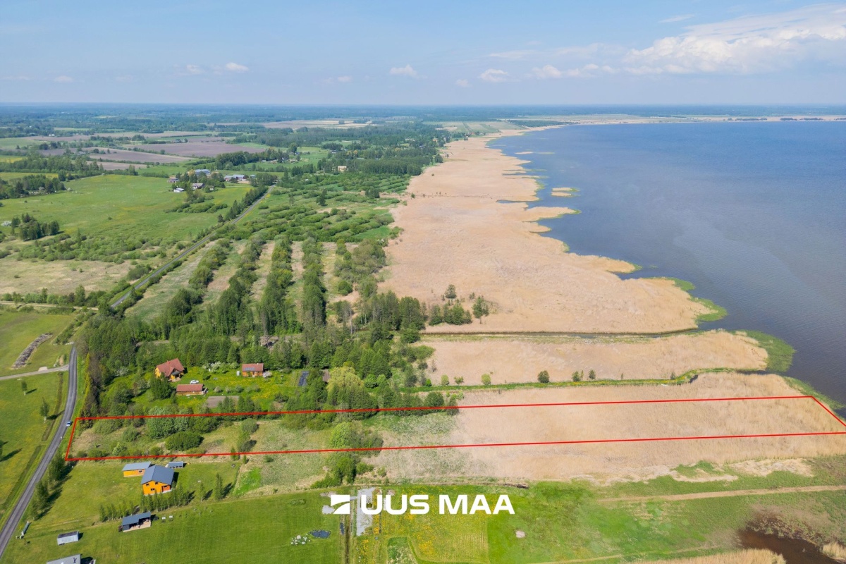 Pärnu linn, Kabriste küla, Angerjaahvena