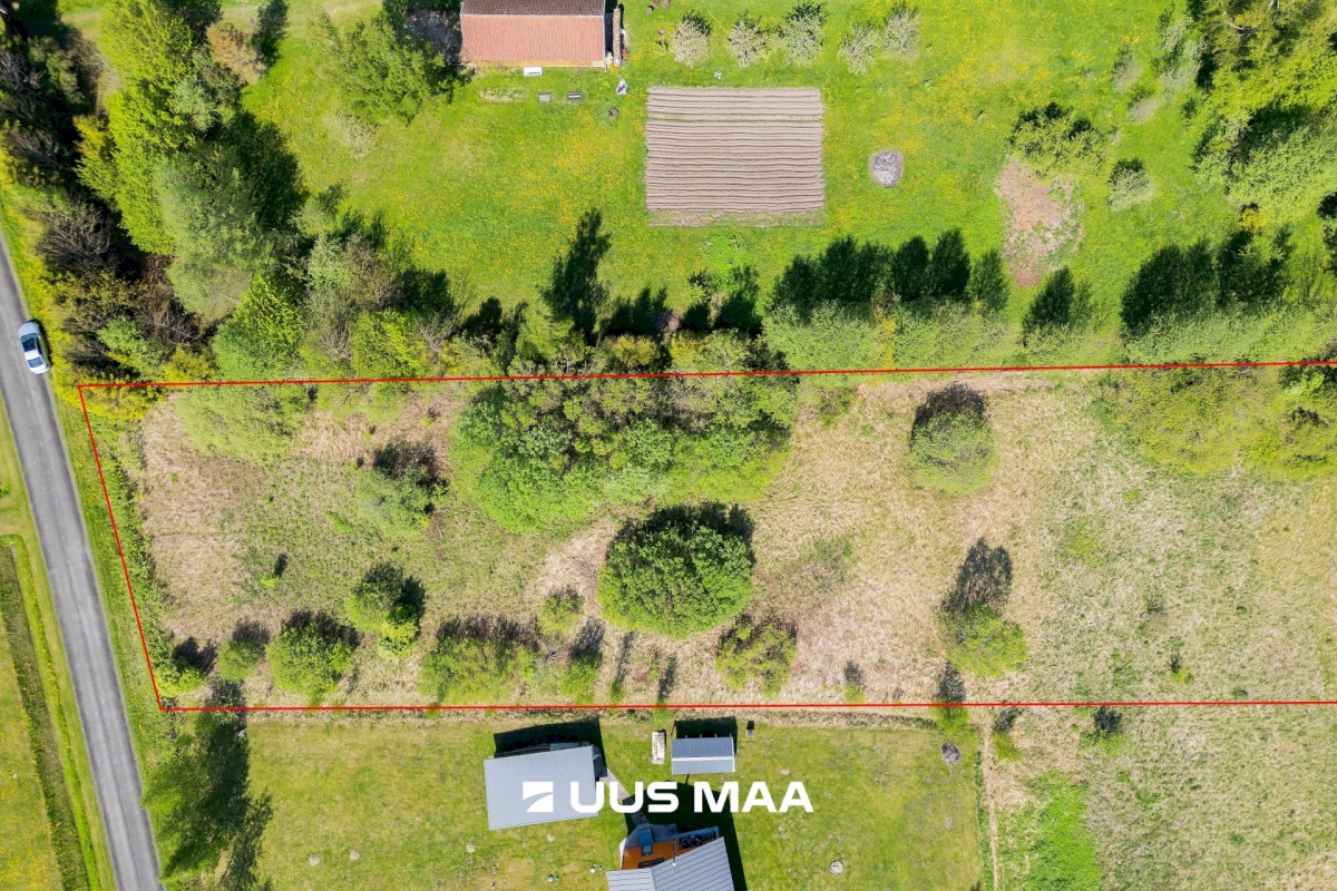 Pärnu linn, Kabriste küla, Angerjaahvena