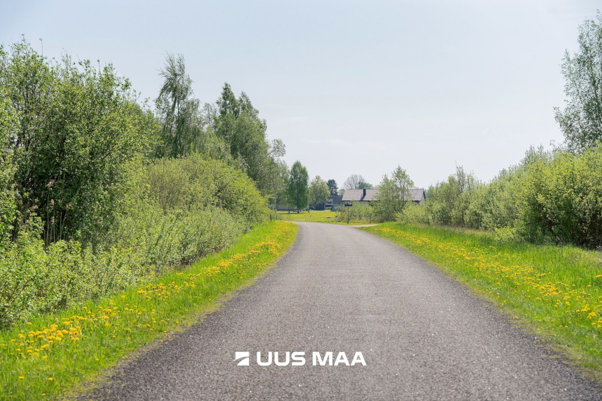 Pärnu linn, Kabriste küla, Angerjaahvena