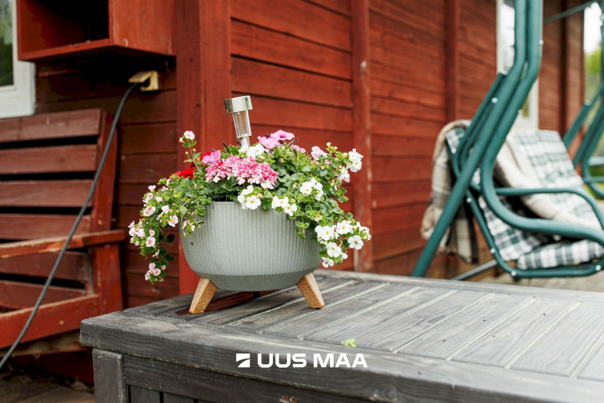 Anija vald, Vikipalu küla, Metsaveere vkt 40