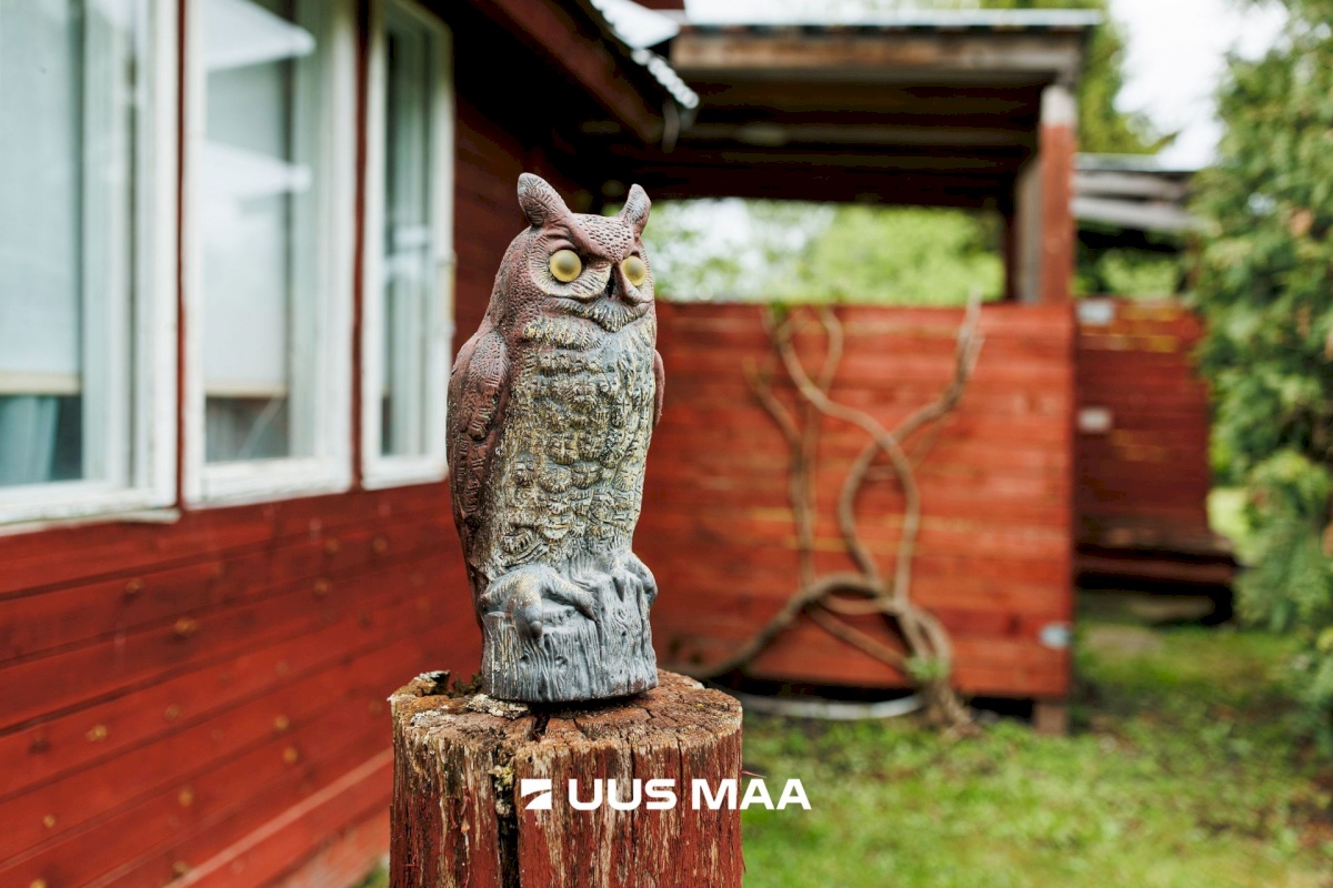 Anija vald, Vikipalu küla, Metsaveere vkt 40