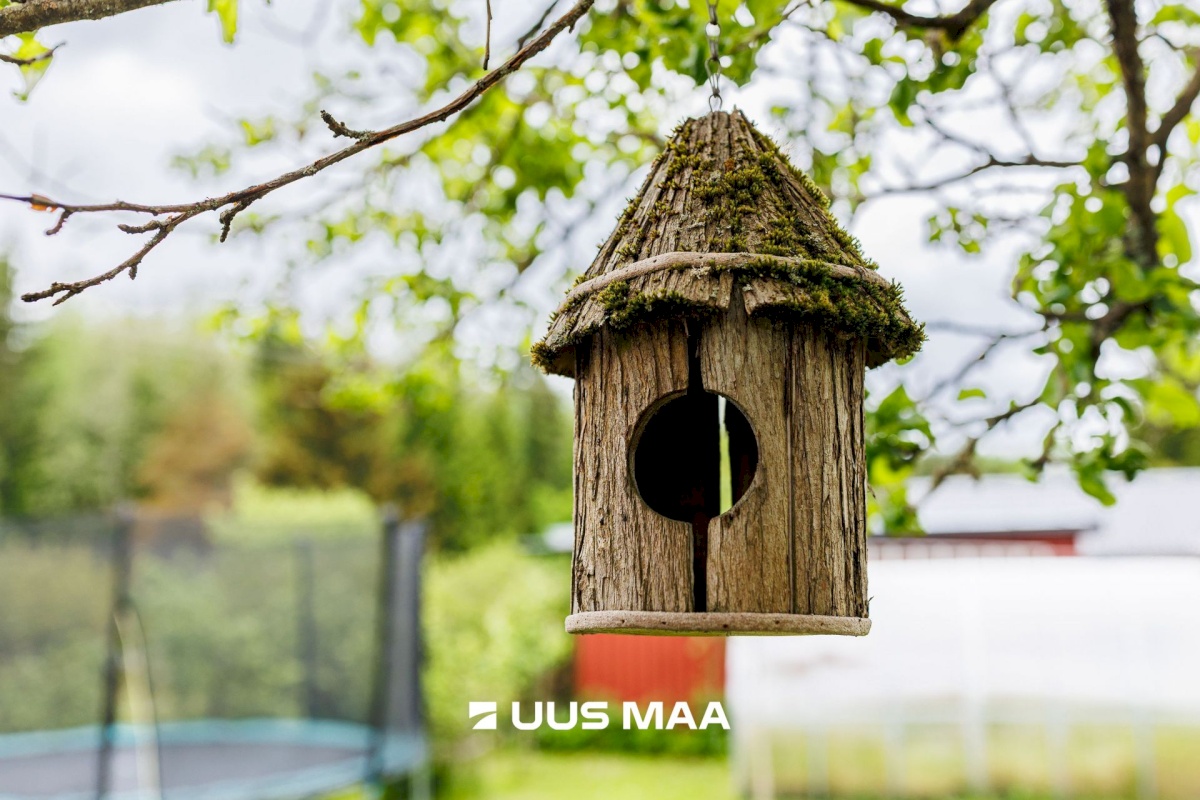 Anija vald, Vikipalu küla, Metsaveere vkt 40