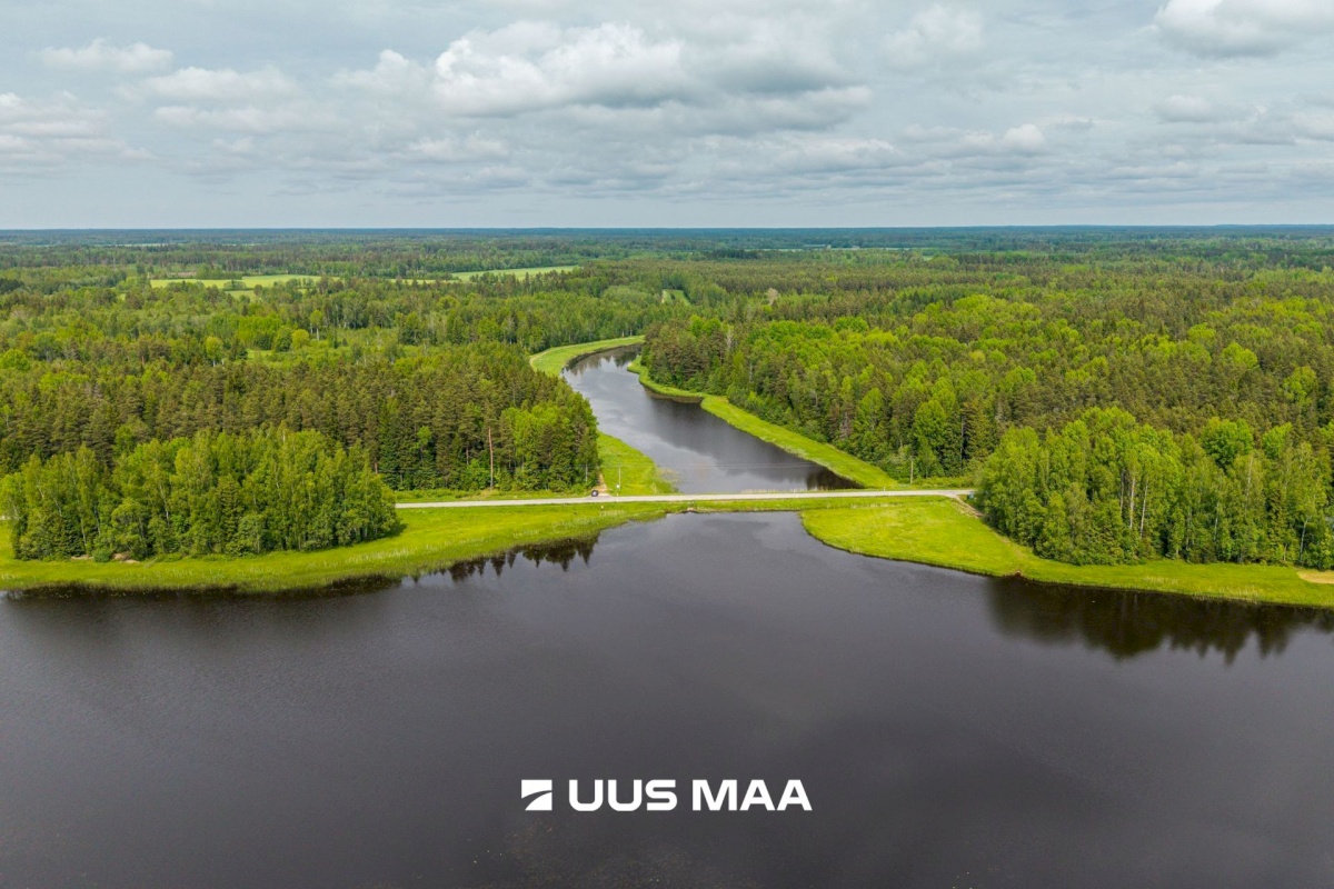 Anija vald, Vikipalu küla, Metsaveere vkt 40