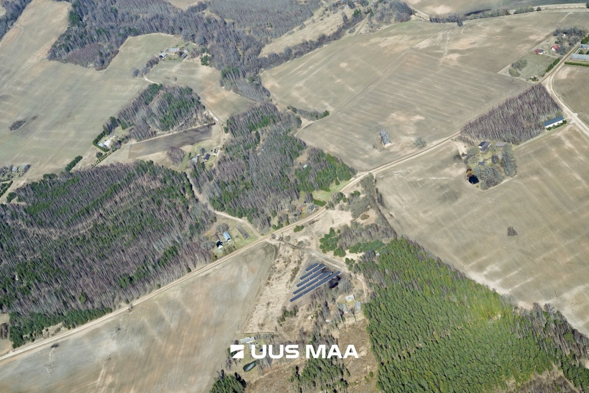 Põlva vald, Mõtsküla, Männikäbi