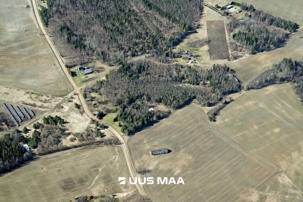 Põlva vald, Mõtsküla, Männikäbi