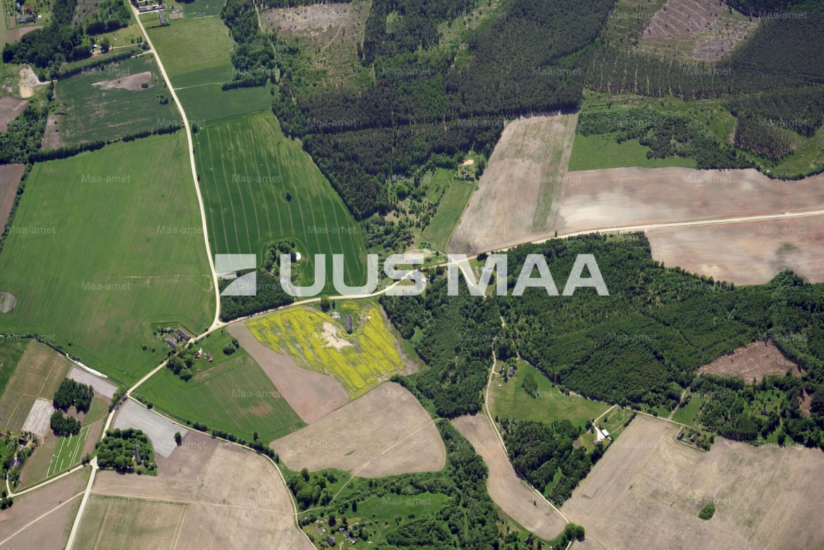 Põlva vald, Mõtsküla, Männikäbi