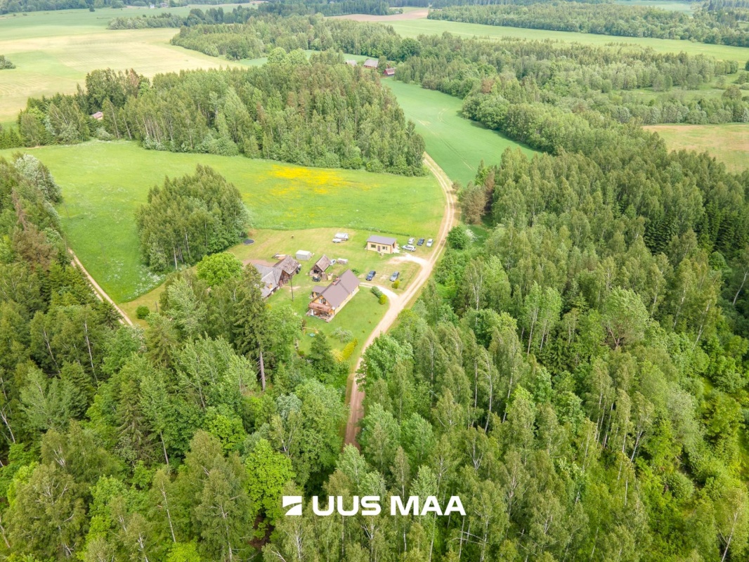 Põlva vald, Mõtsküla, Männikäbi