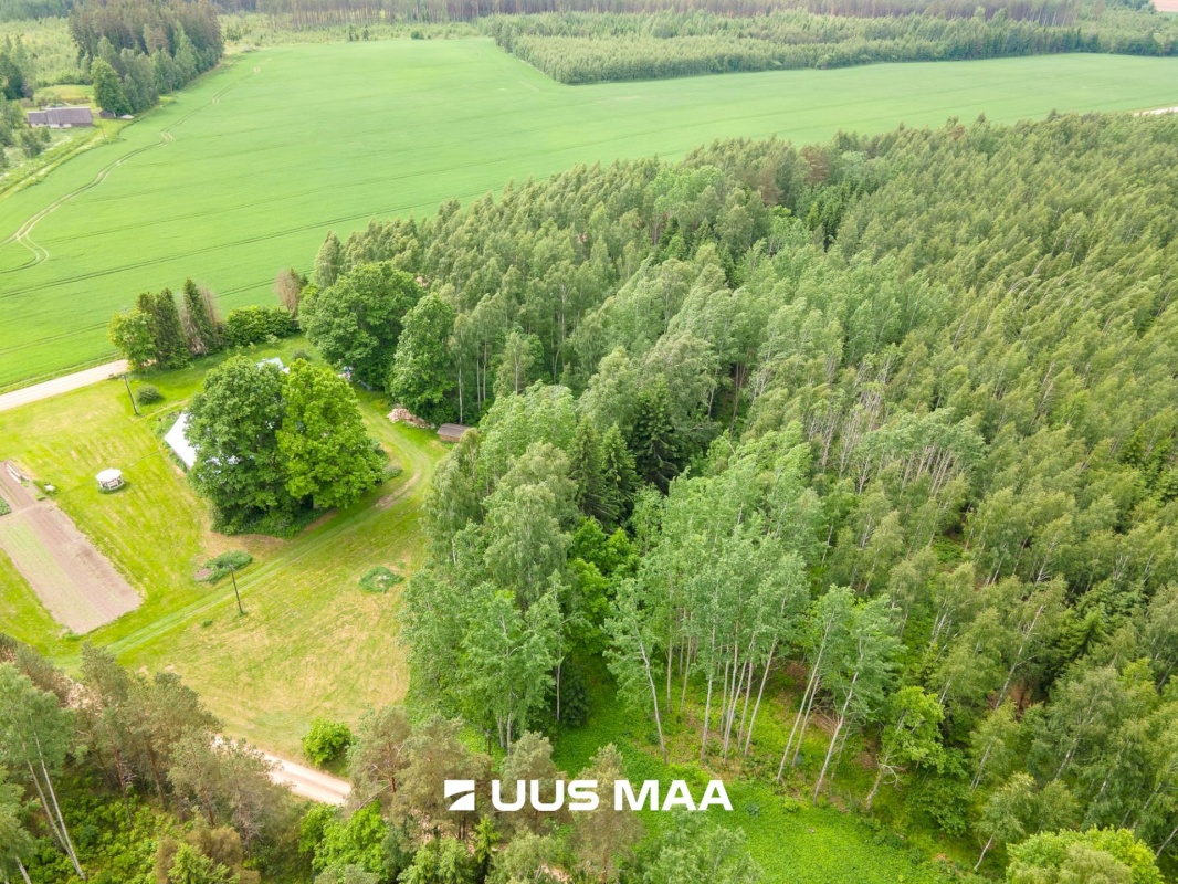 Põlva vald, Mõtsküla, Männikäbi