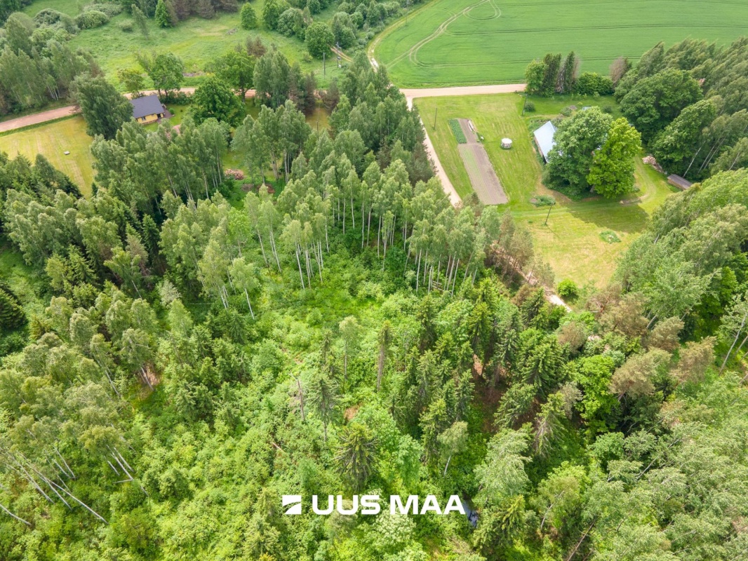 Põlva vald, Mõtsküla, Männikäbi