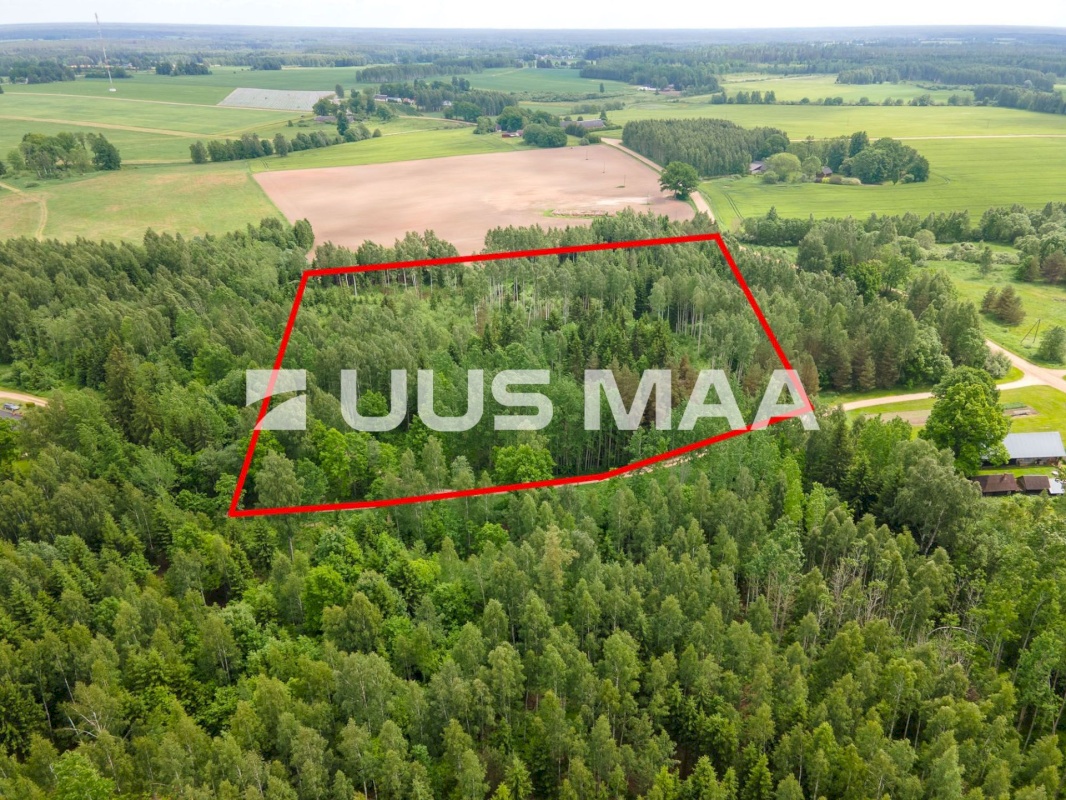 Põlva vald, Mõtsküla, Männikäbi