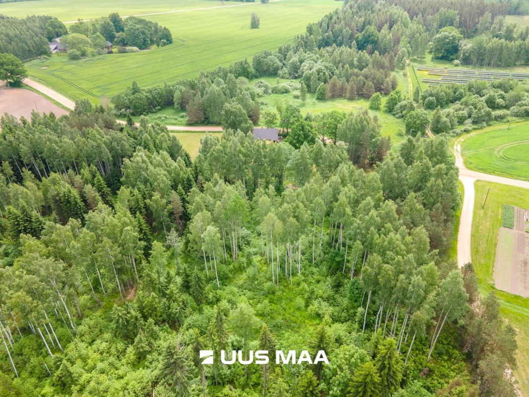 Põlva vald, Mõtsküla, Männikäbi