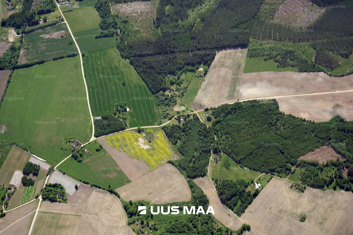 Põlva vald, Mõtsküla, Männikäbi