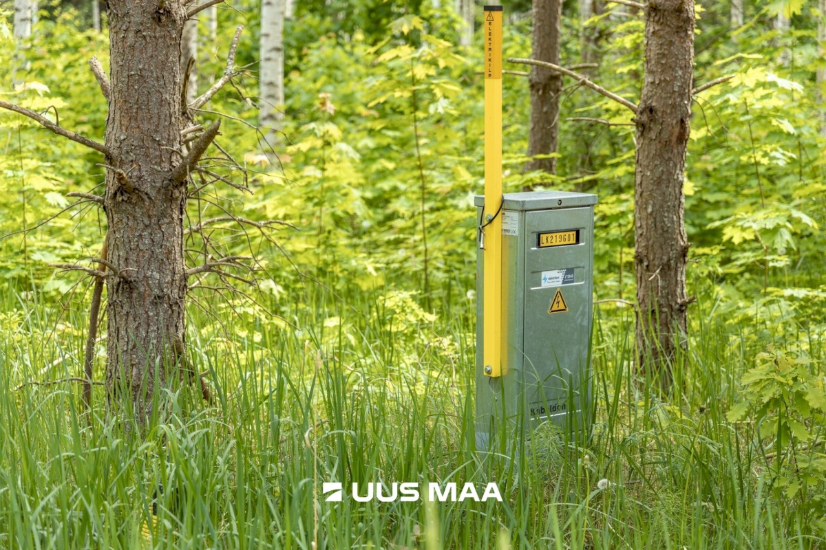 Põlva vald, Mõtsküla, Männikäbi