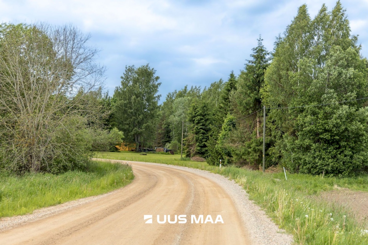 Põlva vald, Mõtsküla, Männikäbi
