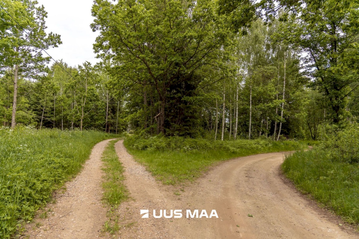 Põlva vald, Mõtsküla, Männikäbi