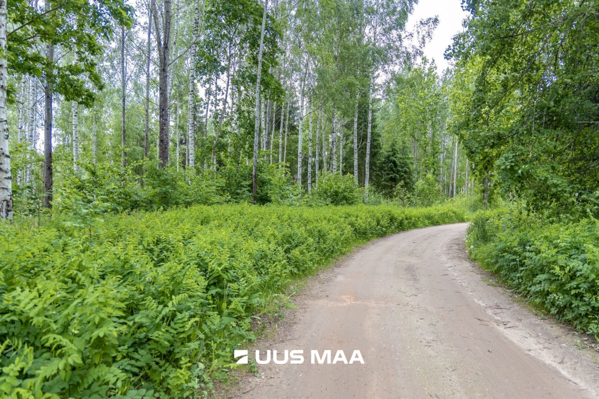 Põlva vald, Mõtsküla, Männikäbi