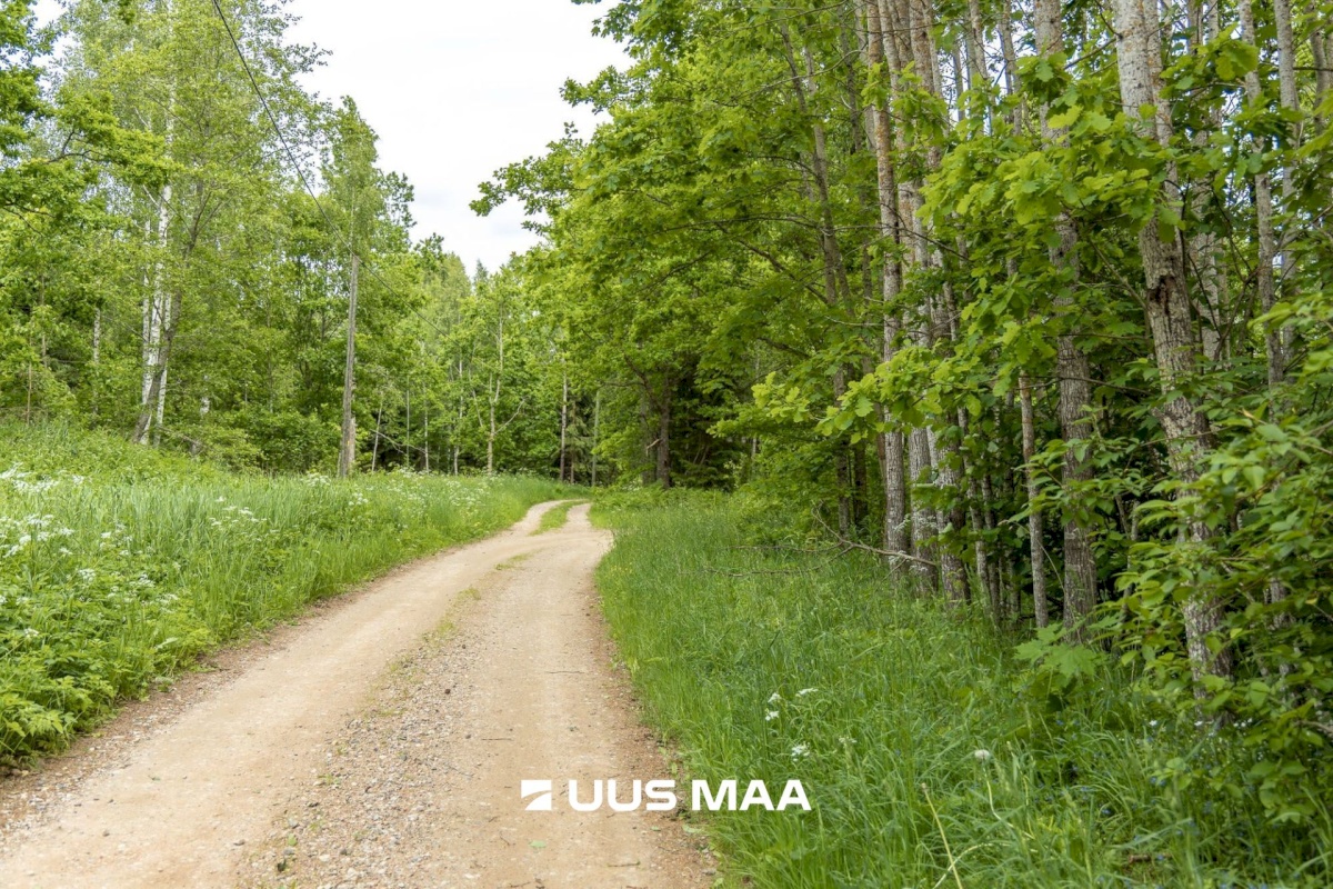 Põlva vald, Mõtsküla, Männikäbi