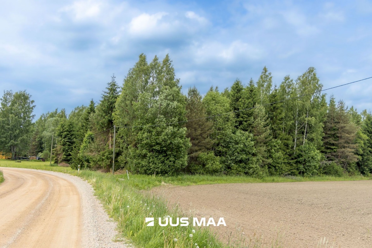 Põlva vald, Mõtsküla, Männikäbi