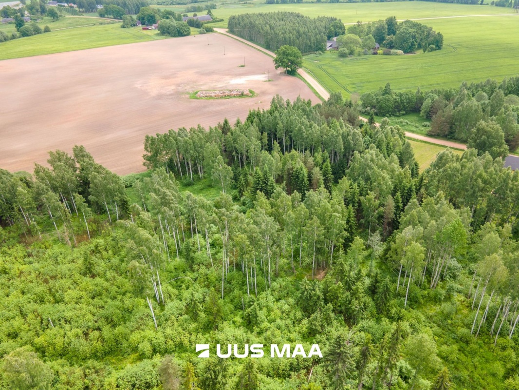 Põlva vald, Mõtsküla, Männikäbi