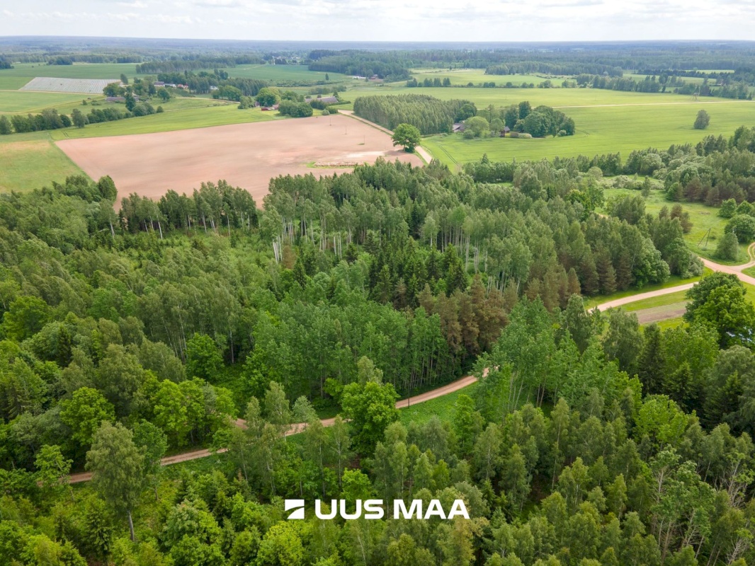 Põlva vald, Mõtsküla, Männikäbi