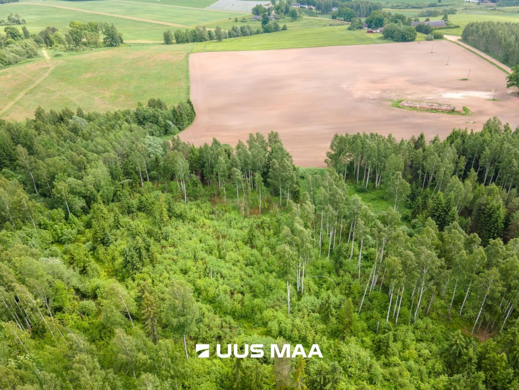 Põlva vald, Mõtsküla, Männikäbi