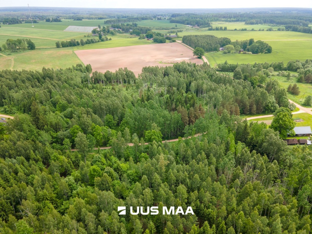 Põlva vald, Mõtsküla, Männikäbi