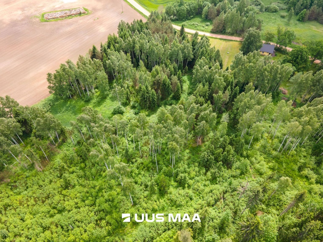 Põlva vald, Mõtsküla, Männikäbi