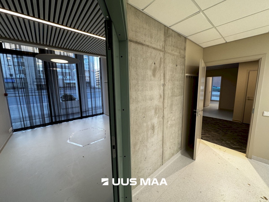 Tallinn, Kesklinna linnaosa, Pärnu mnt 113