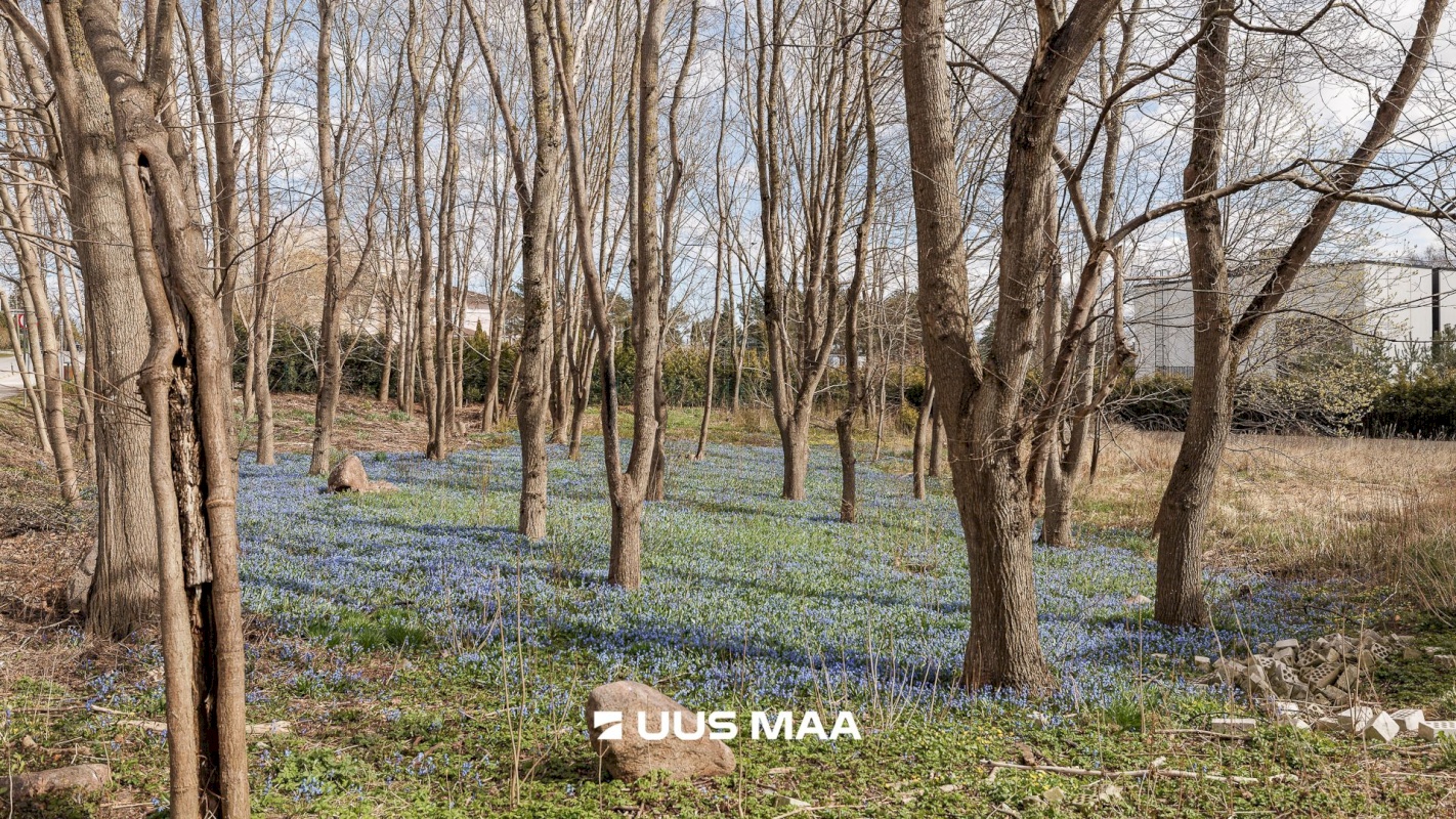 Tallinn, Pirita linnaosa, Ranniku tee 2a