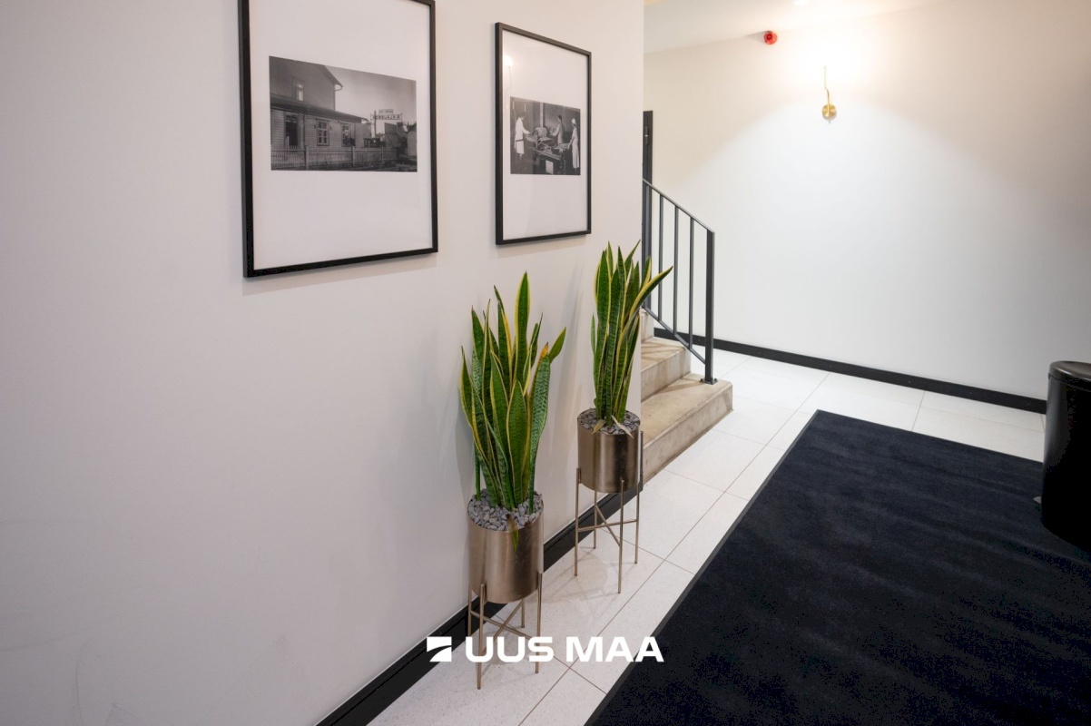 Tallinn, Põhja-Tallinna linnaosa, Jahu 5/1